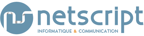 Logo Netscript